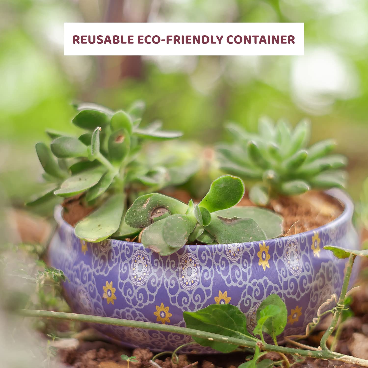 ๐ dry season scented aroma candles gift set โ soy wax | lavender & jasmine | premium printed tin jars | pack of 2 (80g each) ๐ฏ๏ธโจ๐๐ผ ๐ dry season scented aroma candles gift set โ soy wax | lavender & jasmine | premium printed tin jars | pack of 2 (80g each) ๐ฏ๏ธโจ๐๐ผ