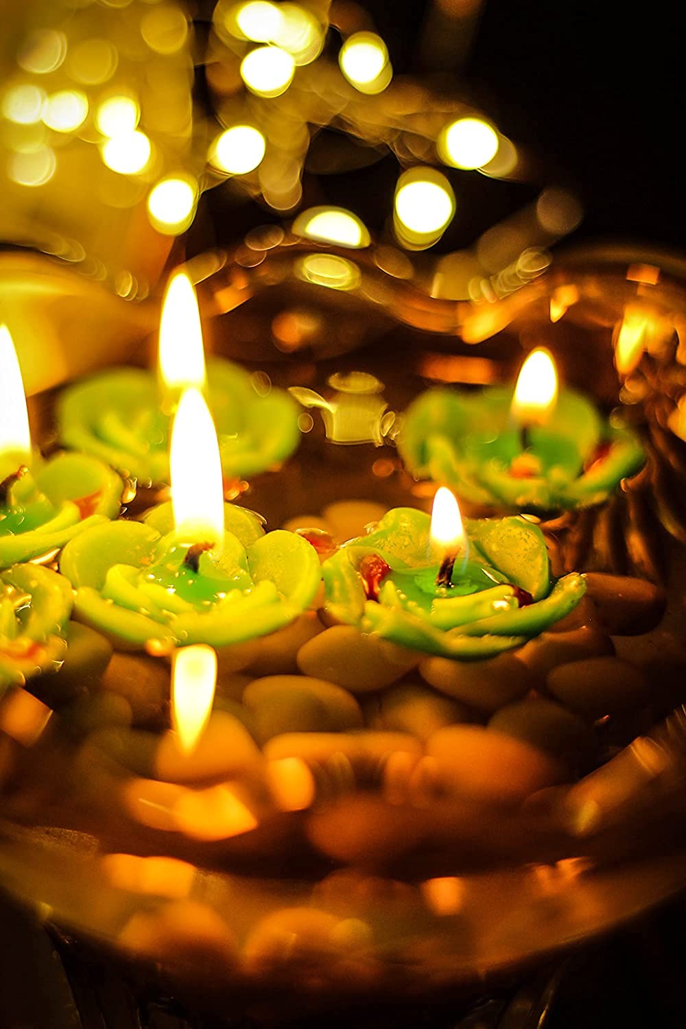 🌹🕯️ floating rose wax candles – set of 12 | elegant floral décor for home, weddings & festive celebrations ✨ 🌹🕯️ floating rose wax candles – set of 12 | elegant floral décor for home, weddings & festive celebrations ✨